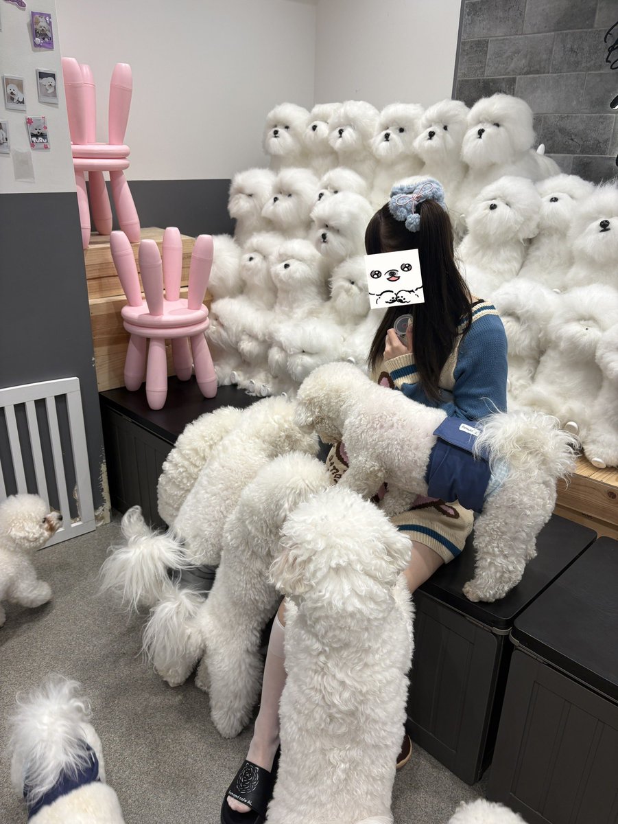 ほされいぬちゃん tweet media