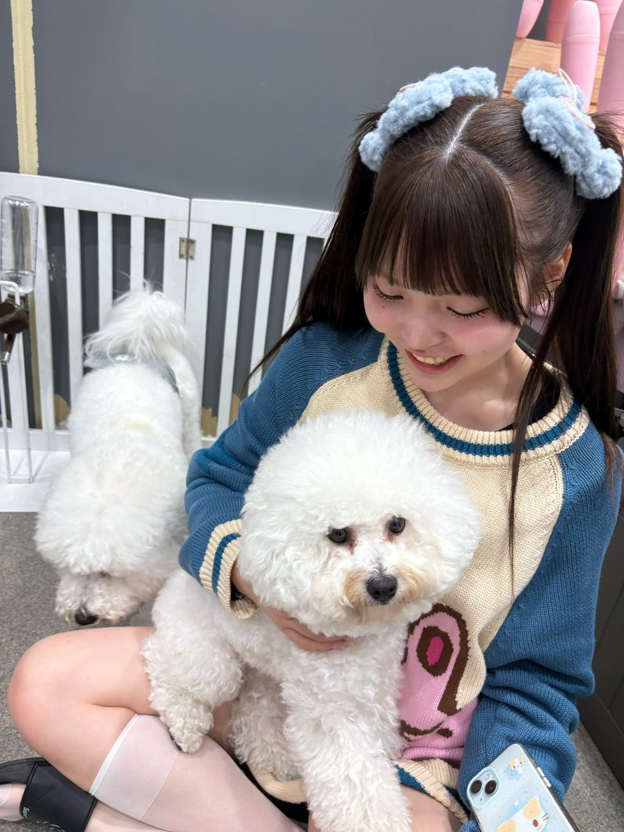 ほされいぬちゃん tweet media