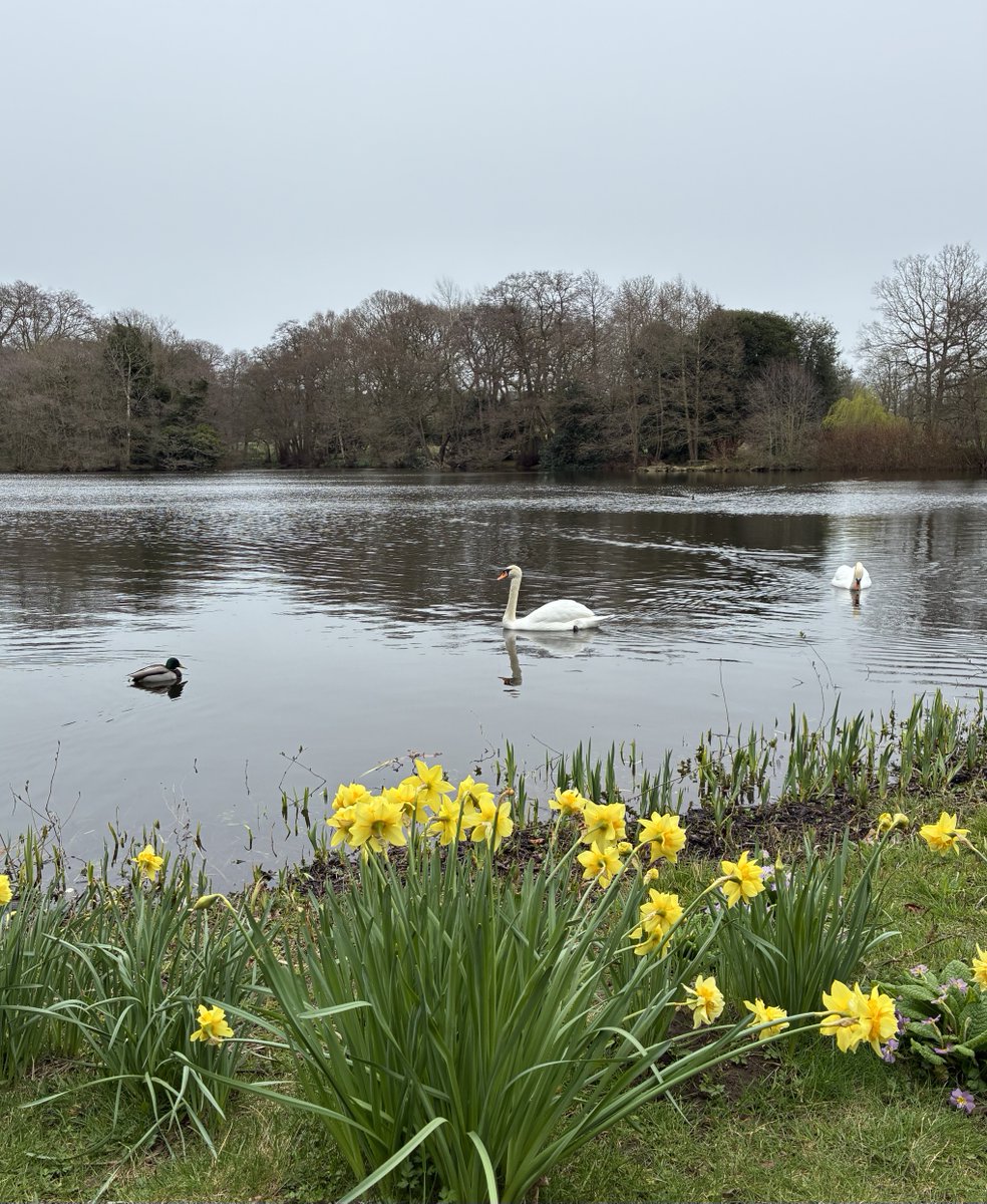 Zara Handley tweet media