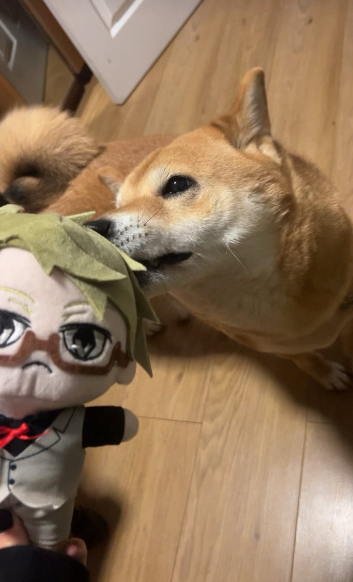 ٠ ࣪ sunny ᶻ𝗓 tweet media