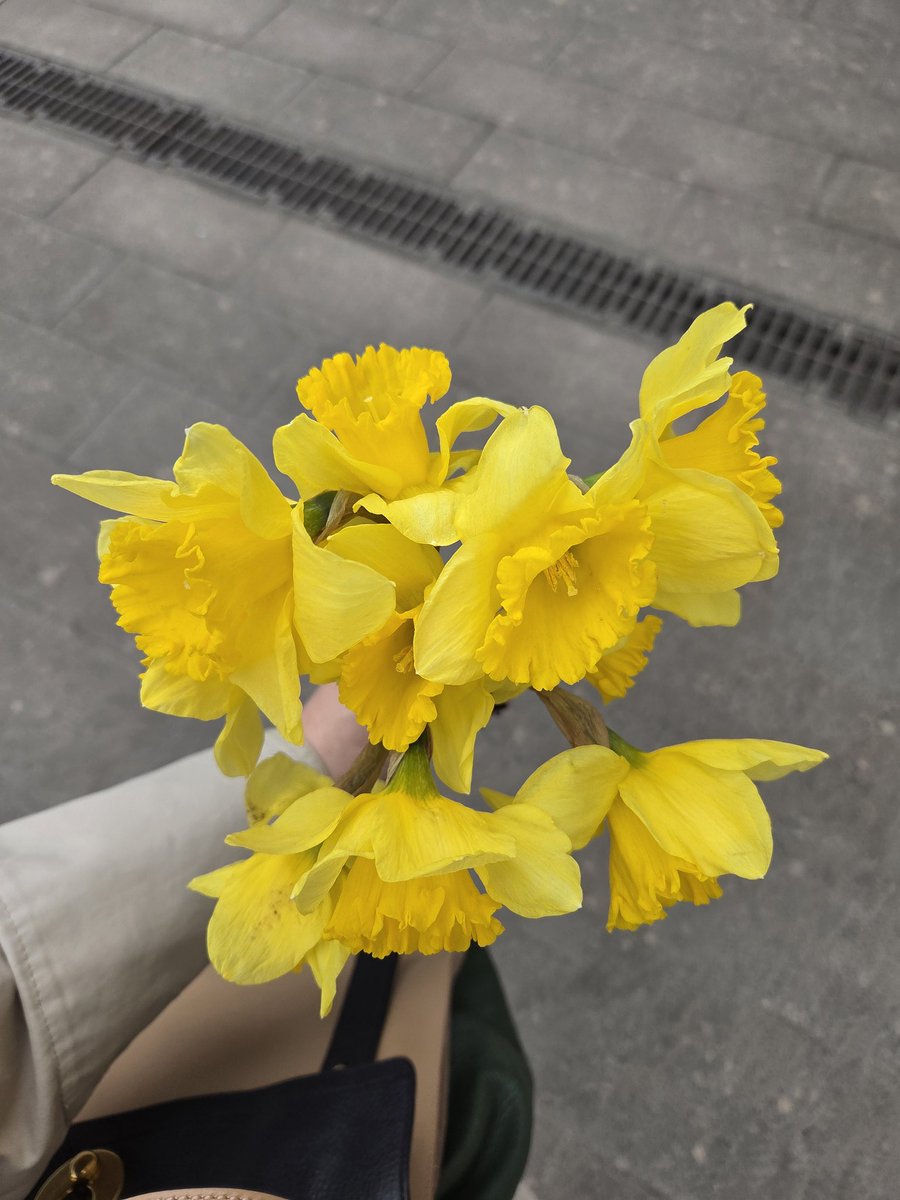 Д'Артаньян, бургундского! tweet media