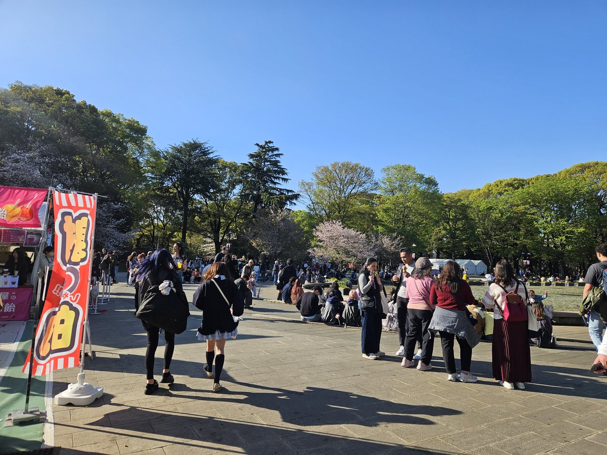 桜花(山登り大好き芸人🗻/駄洒令子🌸) tweet media