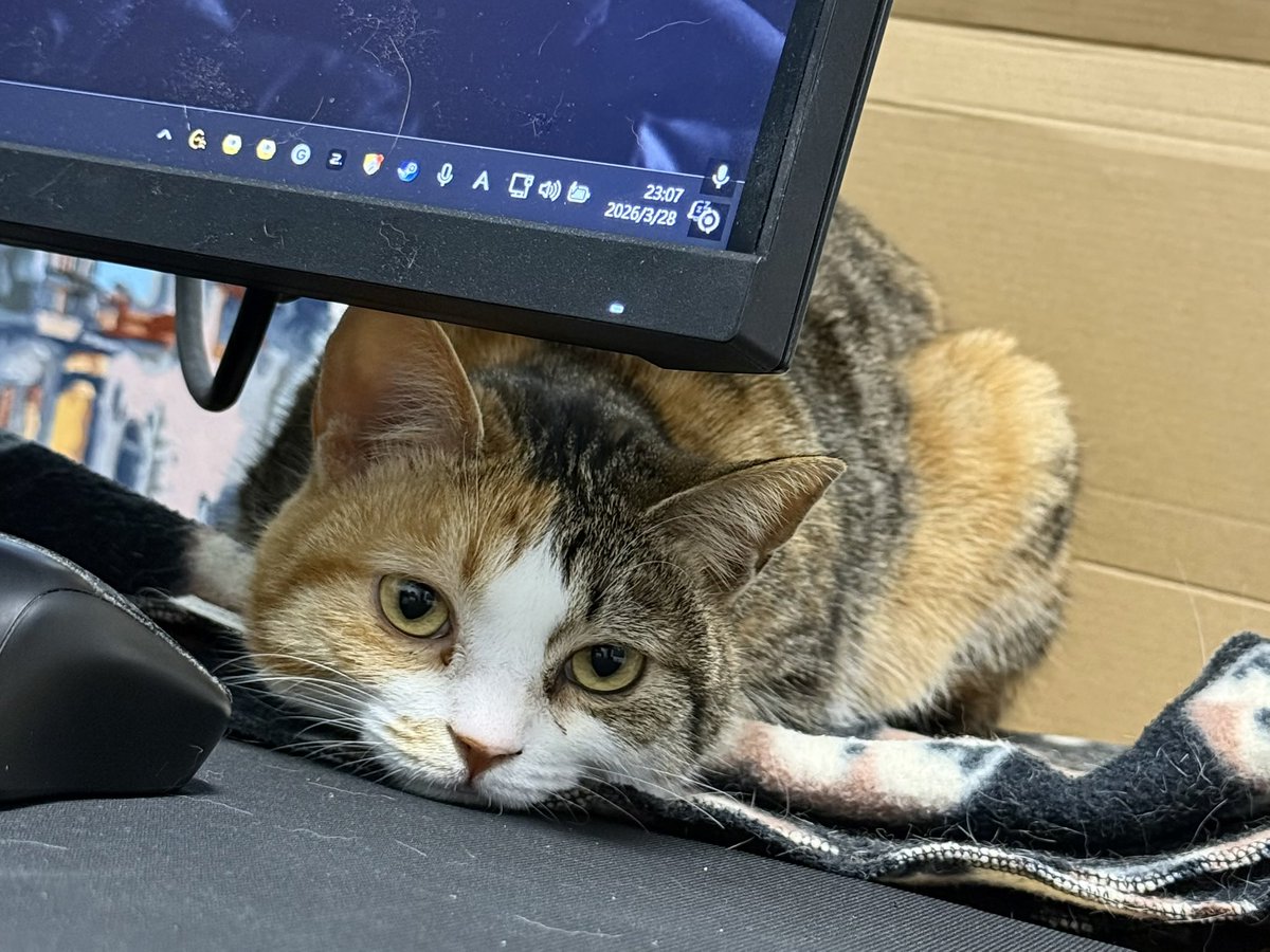 小饭= ⩌_⩌. tweet media