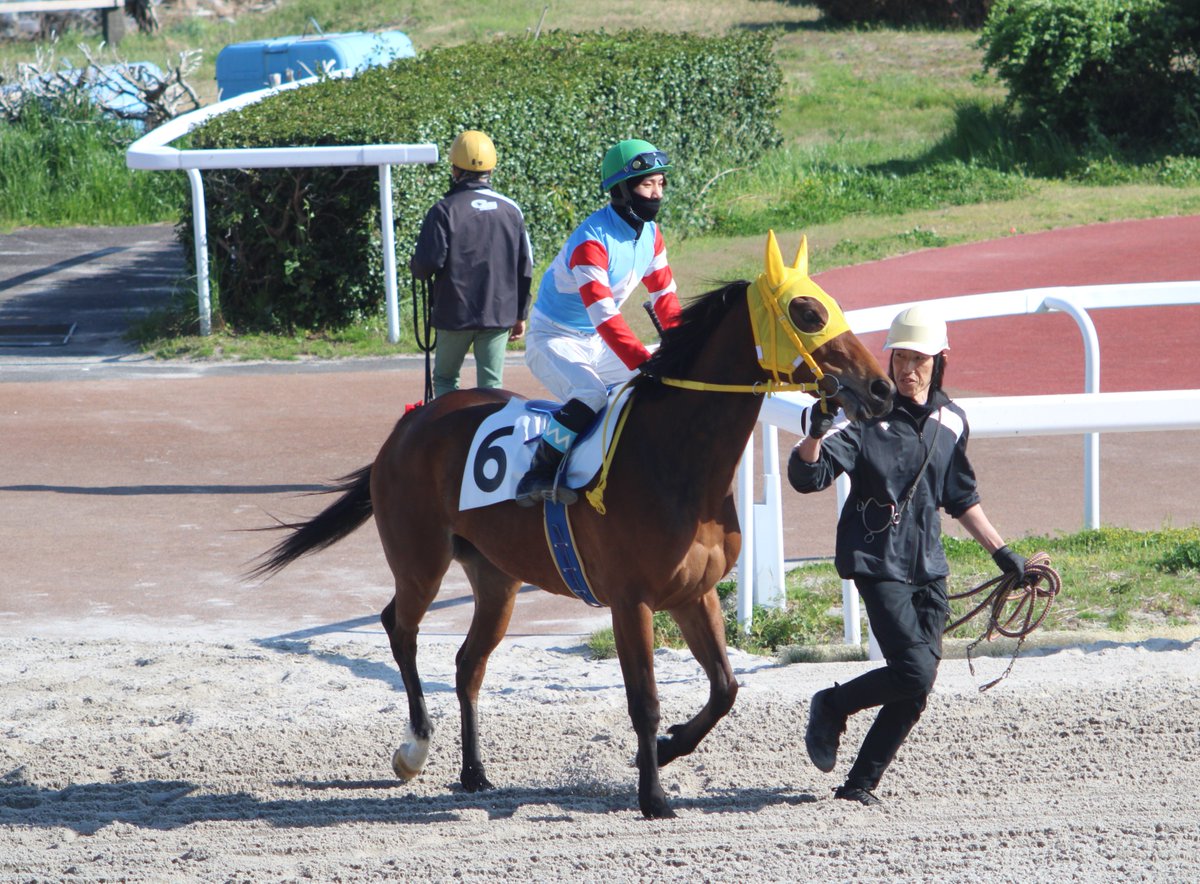 競馬エース竹中 tweet media