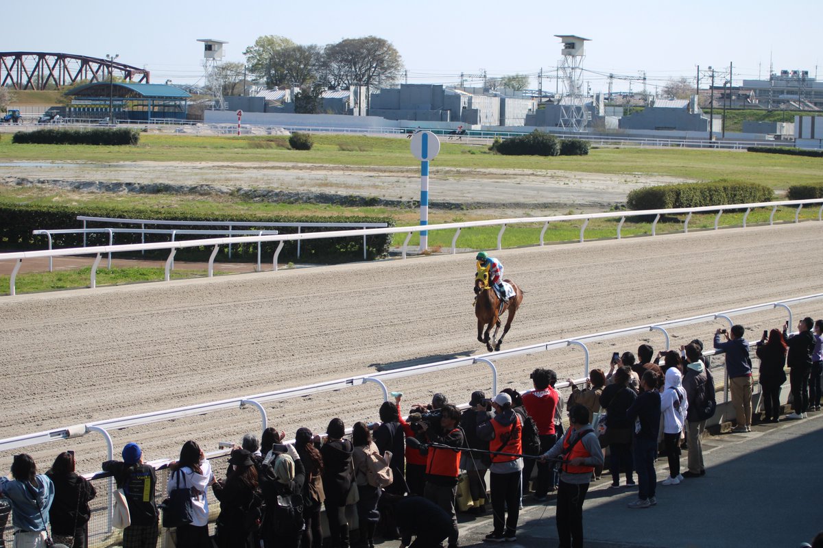 競馬エース竹中 tweet media