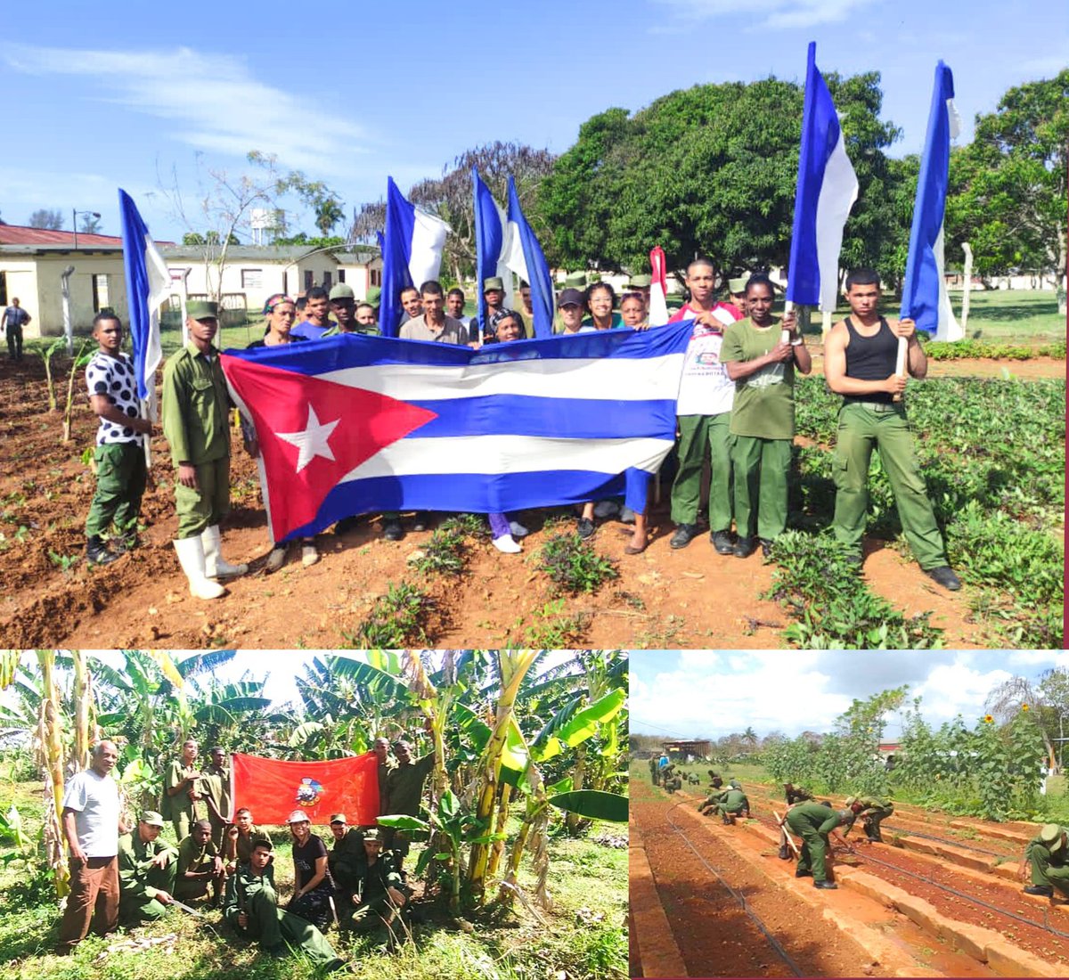 ‼️𝐄𝐋 𝐒𝐔𝐑𝐂𝐎 𝐓𝐀𝐌𝐁𝐈É𝐍 𝐄𝐒 𝐓𝐑𝐈𝐍𝐂𝐇𝐄𝐑𝐀 🌱🇨🇺  En saludo al 64 aniversario de la UJC, la juventud del Ejército protagonizó una emotiva jornada productiva,demostrando que el compromiso con la Patria también se expresa en el trabajo creador.  

#JuventudCentenaria