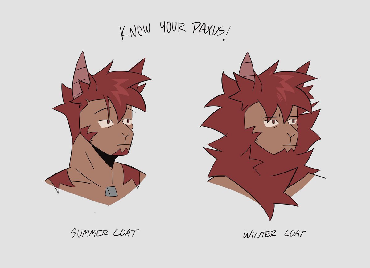 Xanderbites ✮ tweet media