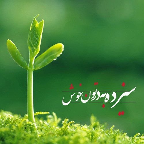 حضرت آیت‌الله سیدمجتبی حسینی خامنه‌ای در پیامی با گرامیداشت روز جمهوری اسلامی ایران و در آستانه روز طبیعت، با دعوت ملت ایران به کاشت نهال به نیت شهدای جنگ تحمیلی سوم، این اقدام را نماد آبادانی، امید و پاسخی ملی به دشمنان دیوصفت و کودک‌کش ملت ایران دانستند
#سیزده_بدر_در_خیابان
