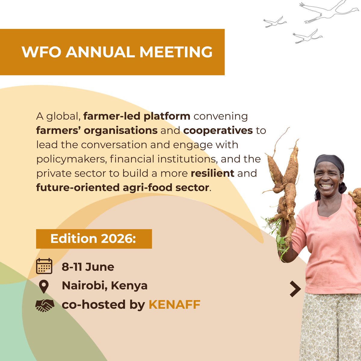 kenaff_farmers's tweet image. As co-hosts of #WFO2026, we’re inviting partners to lead thematic sessions, showcase innovations, or host side events on June 10th. Align your brand with global sustainability &amp;amp; farmer-led transformation.

🤝 Partner with us: farmers@kenaff.org

#WFO #KENAFF #AgriPartnerships