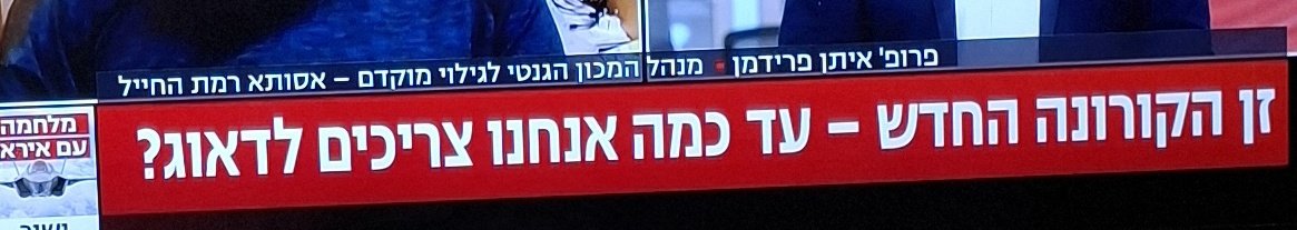 Maya🐝 tweet media