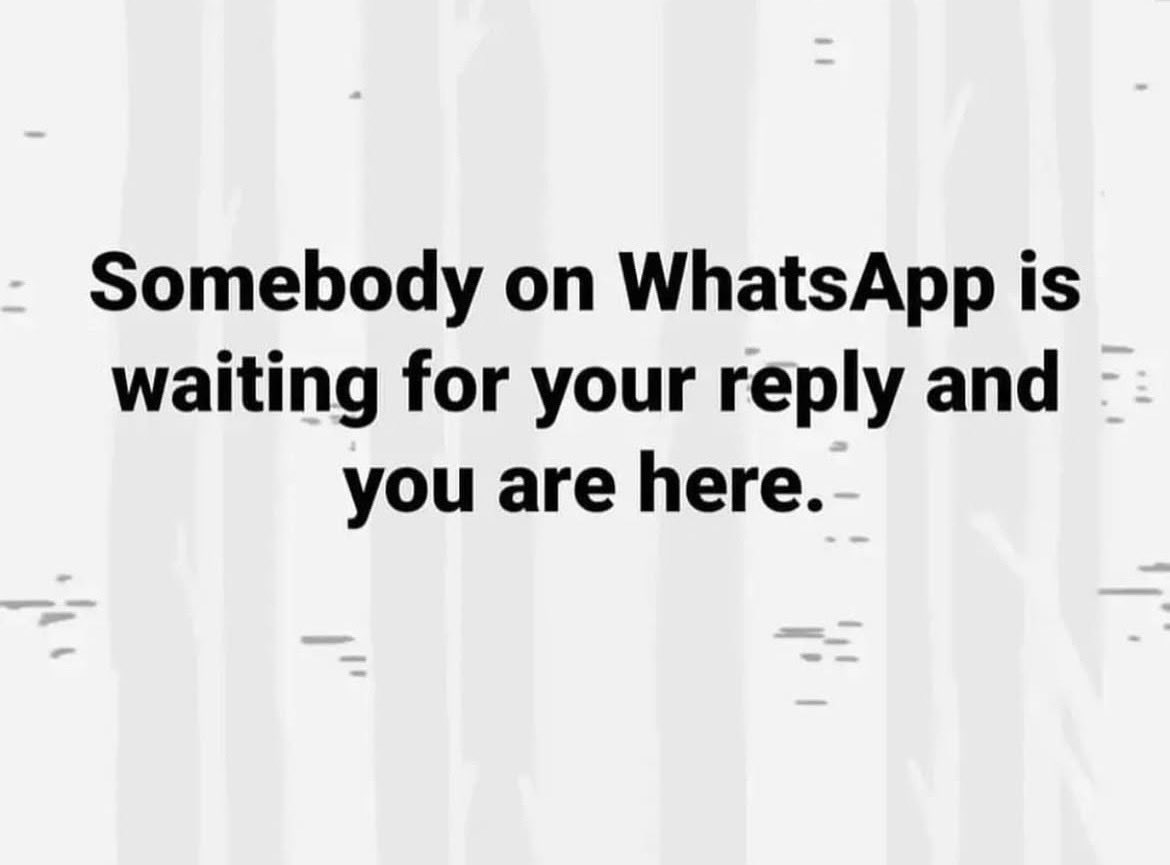 Sinamile Qhawekazi tweet media