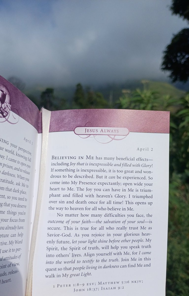 Monique van der KZN 🇿🇦 tweet media