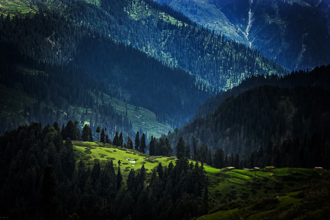 اگر آپ اسلام آباد سے صرف تین گھنٹے کی مسافت پر ایسی وادی جانا چاہتے ہیں جہاں گھنے جنگلات، سرسبز چراگاہیں، خوبصورت دریا اور برف پوش چوٹیاں موجود ہوں، تو ان گرمیوں میں آپ کو وادیٔ سرن کا رخ کرنا چاہیے۔
اسلام آباد سے پشاور جاتے ہوئے، ہزارہ موٹروے پر گاڑی موڑ لیں اور اچھڑیاں انٹرچینج