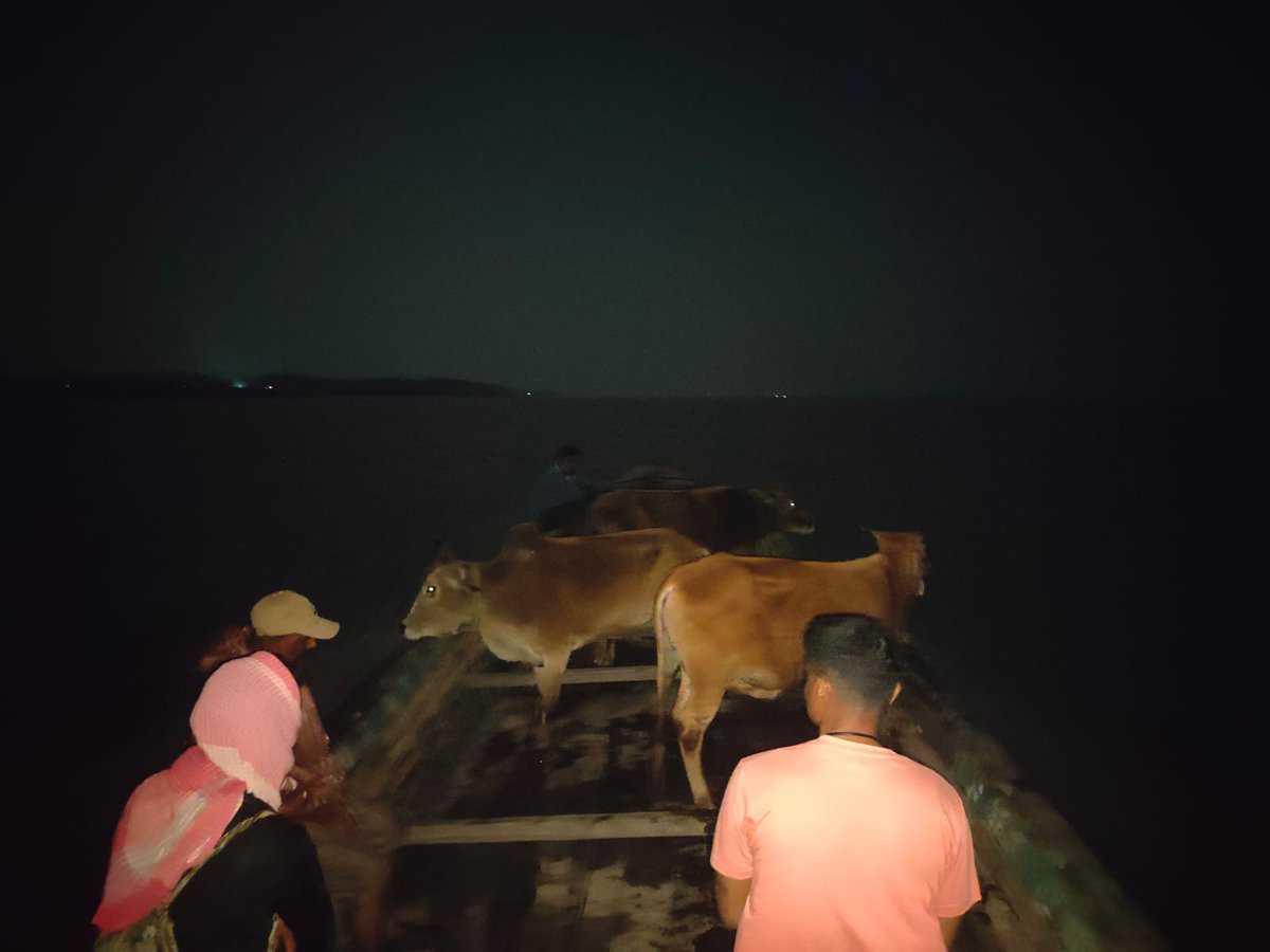 South Salmara Mankachar Police tweet media