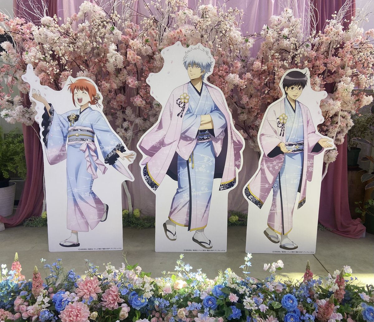 まー🌸📿ﾘﾄﾘﾝ有 tweet media