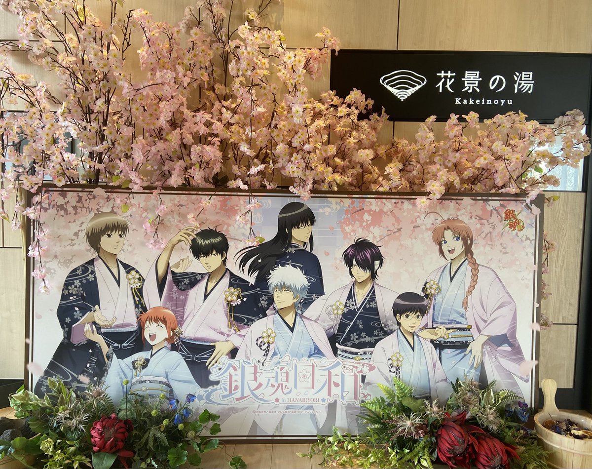 まー🌸📿ﾘﾄﾘﾝ有 tweet media