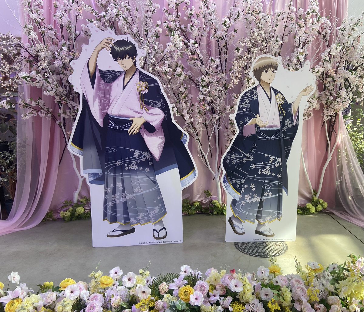 まー🌸📿ﾘﾄﾘﾝ有 tweet media