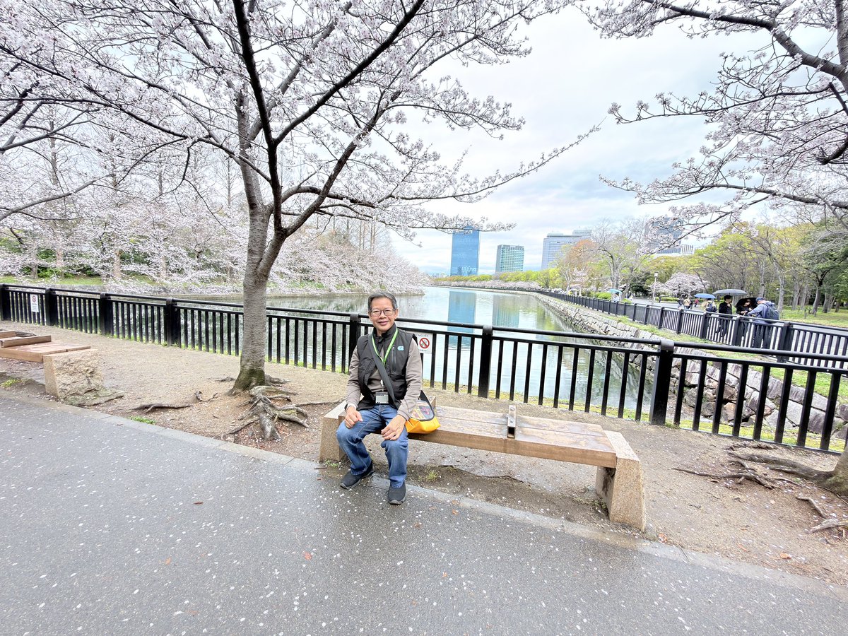 tipamart's tweet photo. Osaka Castle @ Osaka City, Japan 🇯🇵 🌸 ชมซากุระในวันที่ฟ้าไม่ใส ณ ปราสาทโอซาก้า #visitjapan #traveler #travelover #myjourney #osakajapan https://t.co/SNKYaIQluh