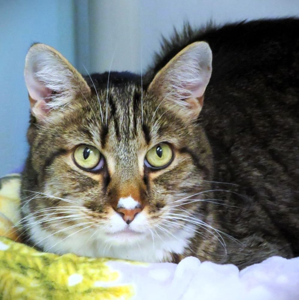 Renee' Martin tweet media