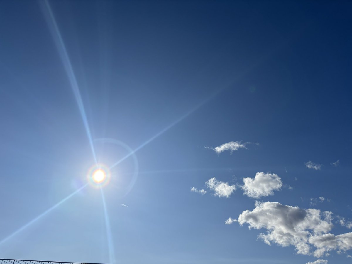 練馬のふーさん tweet media