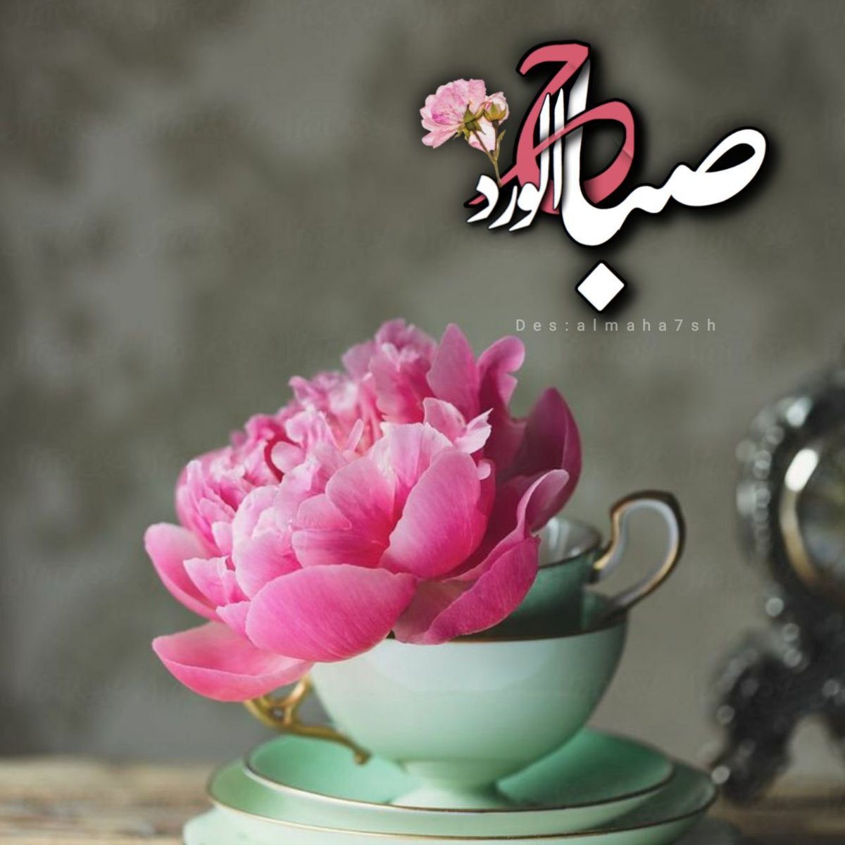 𝔹𝕒𝕤𝕤𝕒𝕞 ‏ tweet media