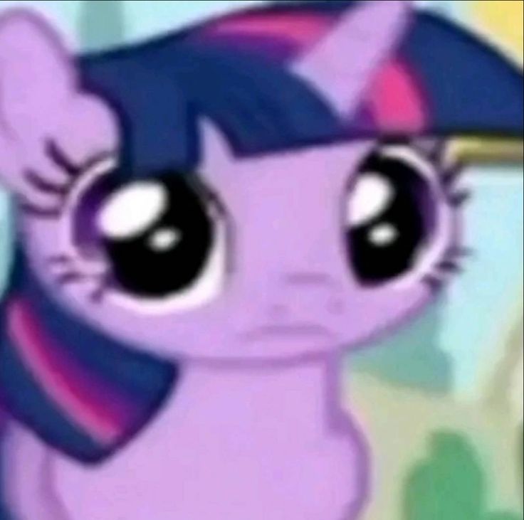 𝓝 𝓛 𝓨 tweet media