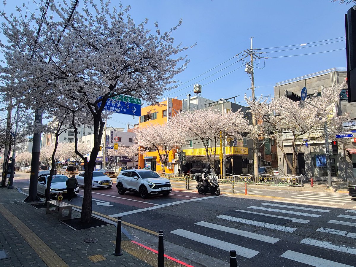 nathan Jo tweet media