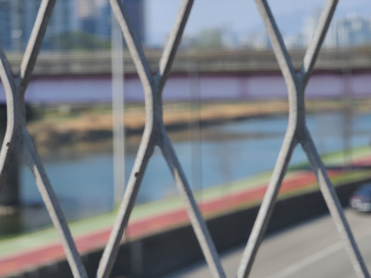 nathan Jo tweet media