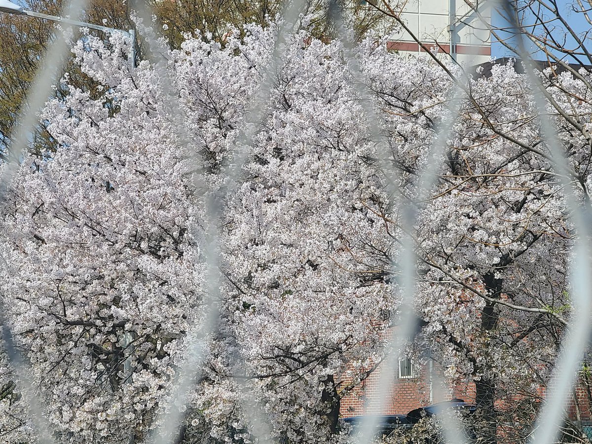 nathan Jo tweet media