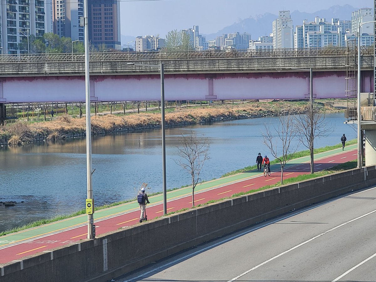 nathan Jo tweet media