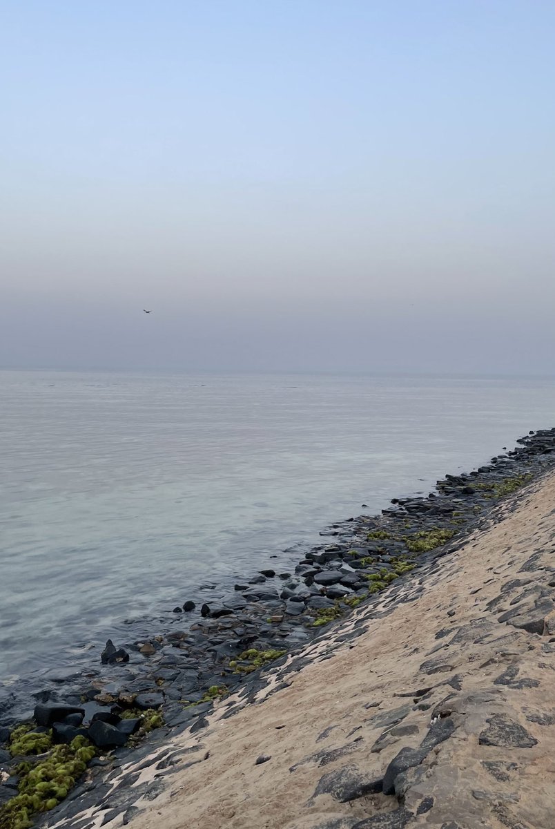 تِرياق tweet media