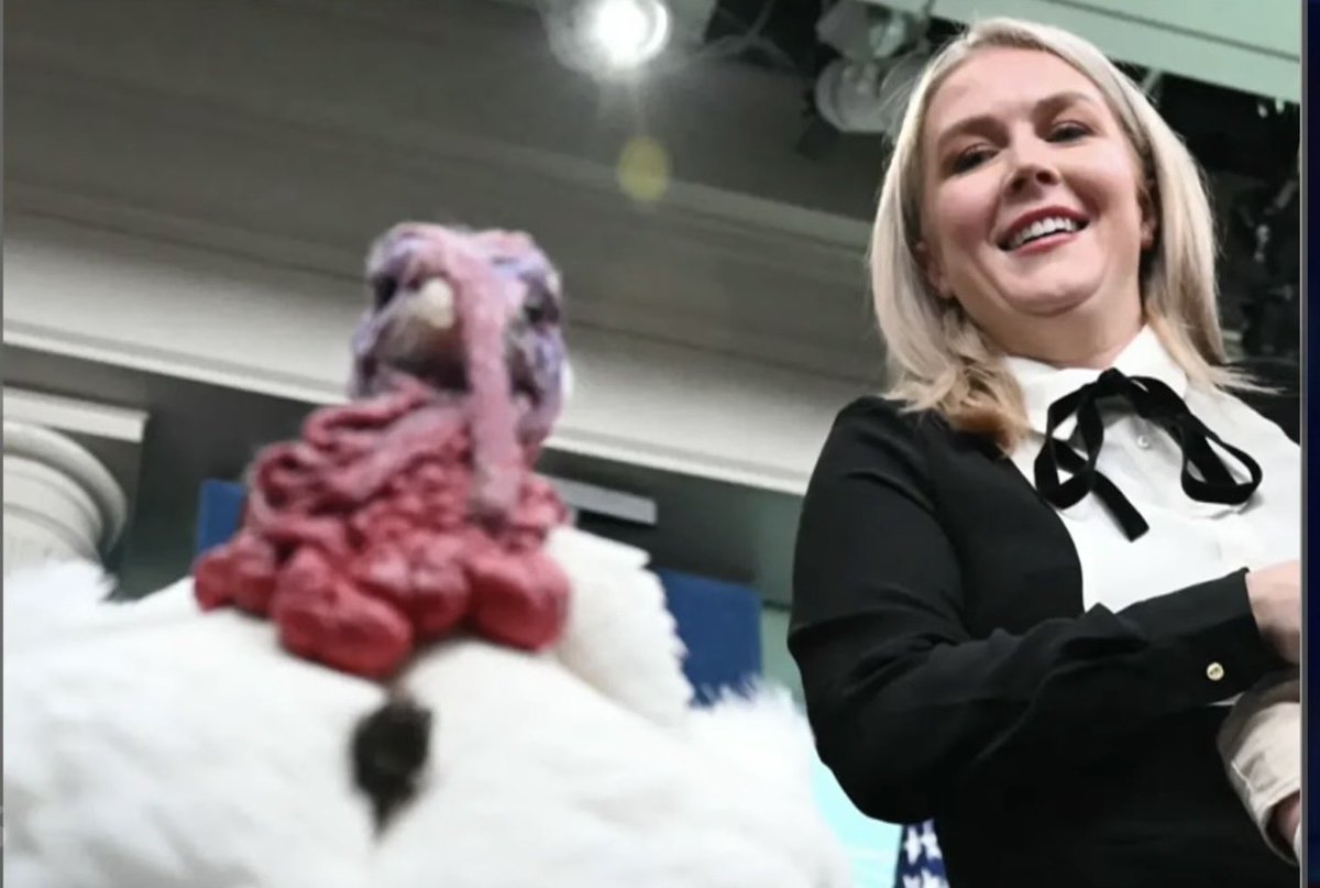 sethieshots's tweet photo. It’s ok @PressSec you’re just as ugly on the inside. Hang in there (talking to the turkey on the left here) https://t.co/pQfQ2hprCK
