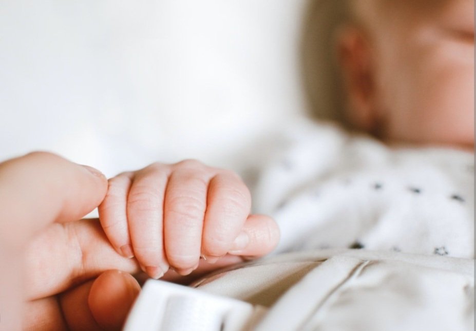 Јелена Вртикапа tweet media