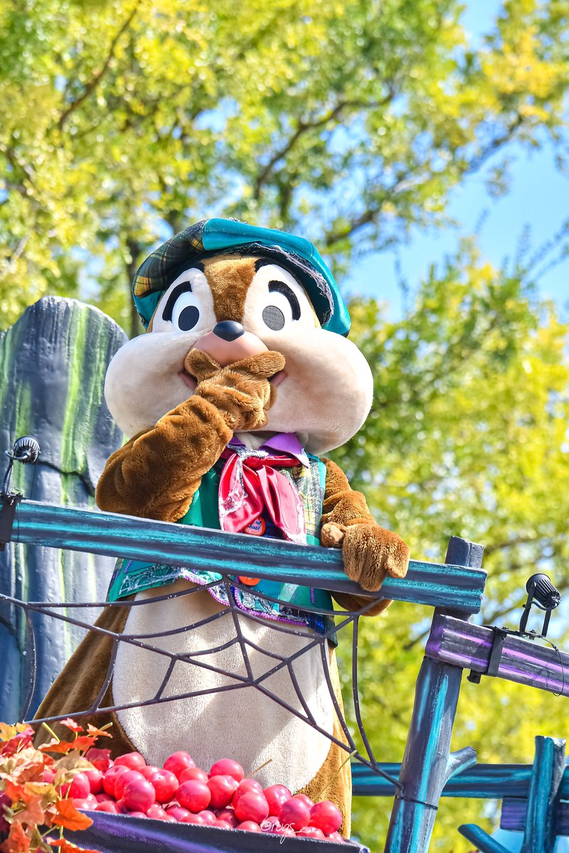 𝑟𝑎𝑏𝑖 tweet media