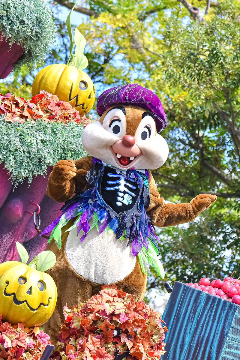 𝑟𝑎𝑏𝑖 tweet media