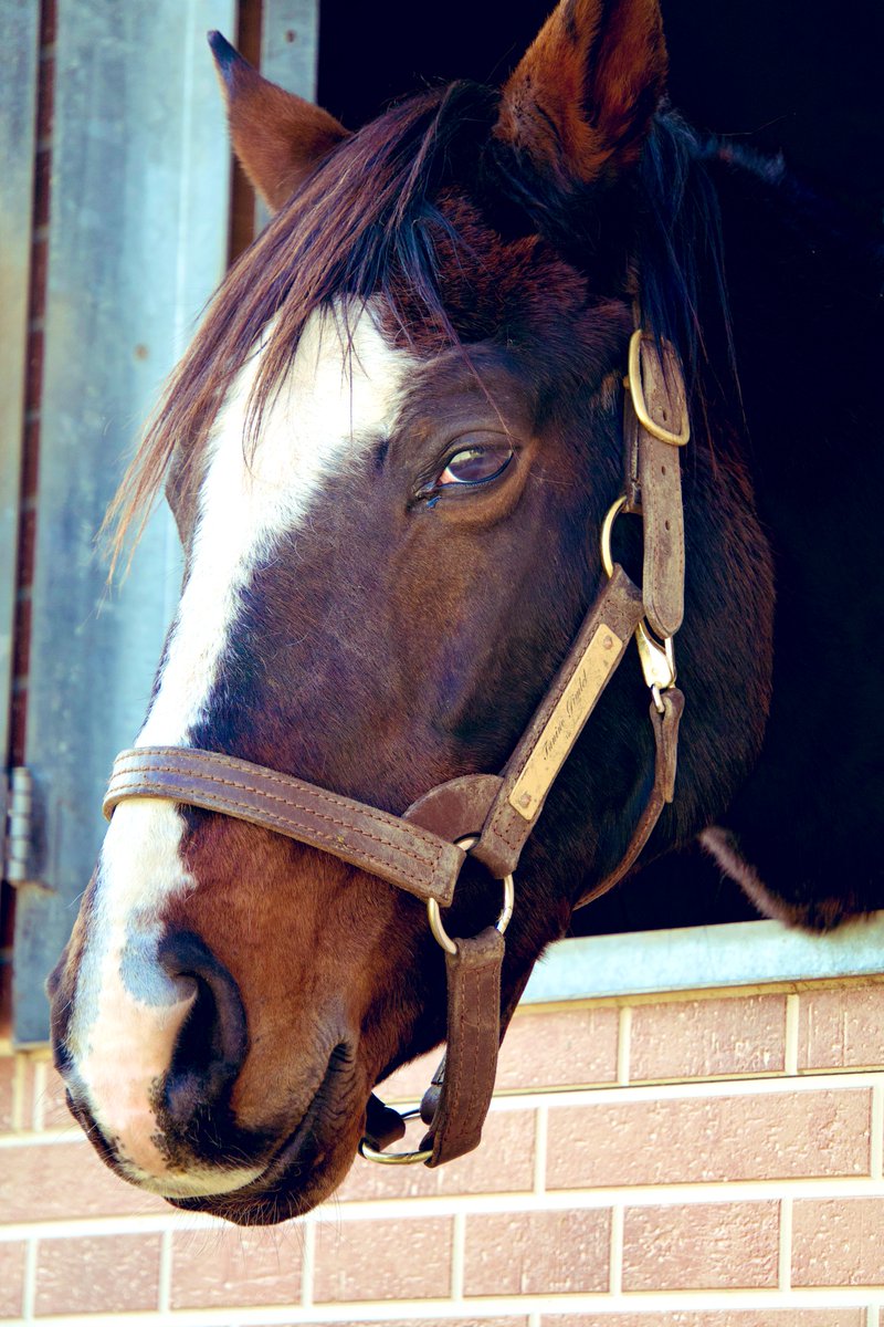 アライン tweet media