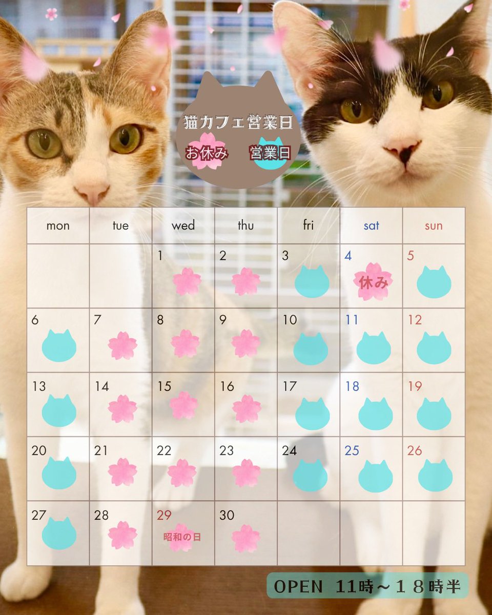 catcafe_link's tweet photo. ☕*° ４月営業日🌸🌸🌸
今月もよろしくお願いいたします🐈‍⬛ https://t.co/kJ4Lquw4Hb