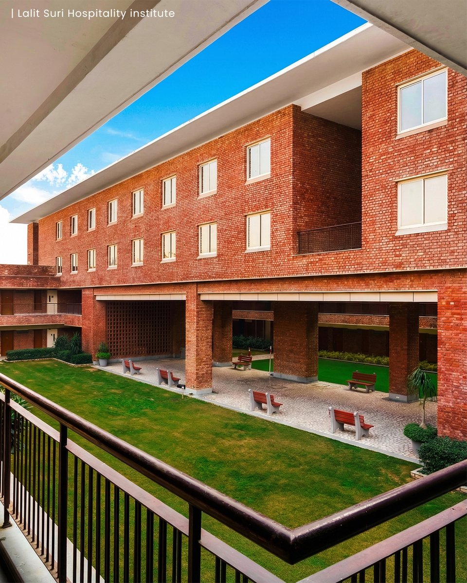 morphogenesis. tweet media