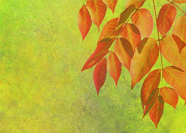 かんち@握力おじさん。 @kanti990 tweet media