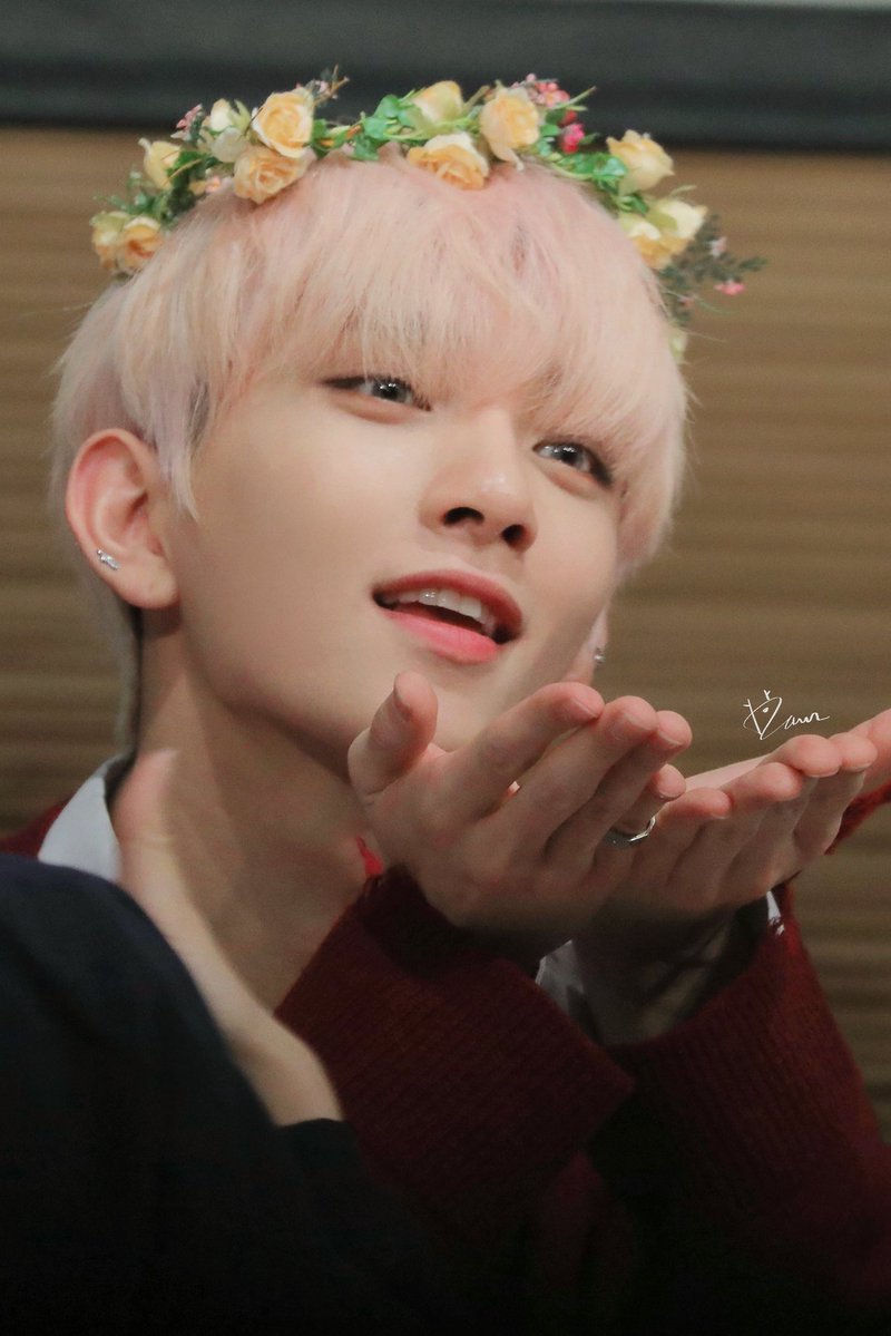 dawndeer tweet media