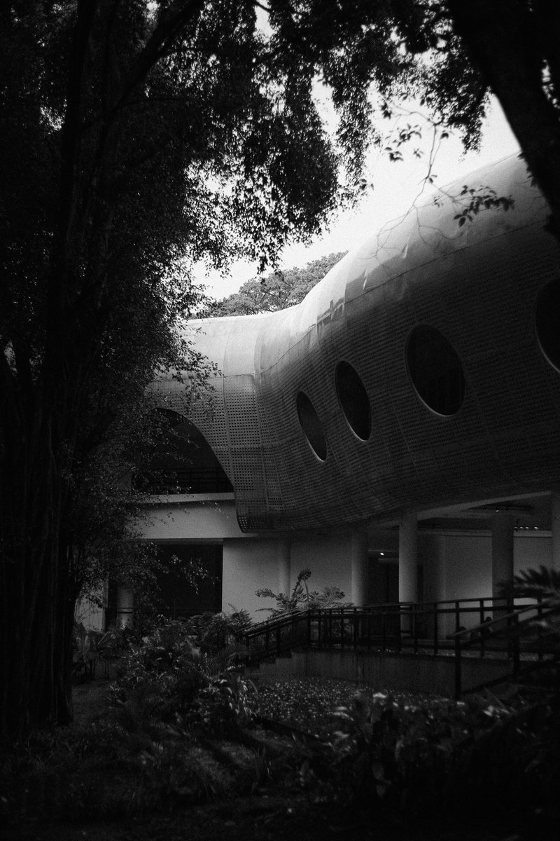 イルファン tweet media