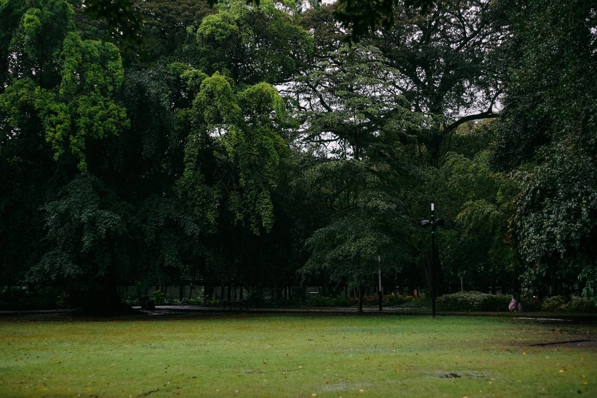 イルファン tweet media