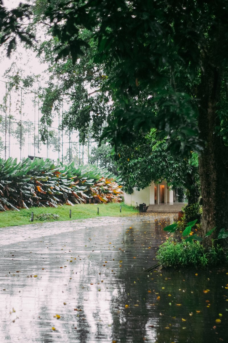 イルファン tweet media