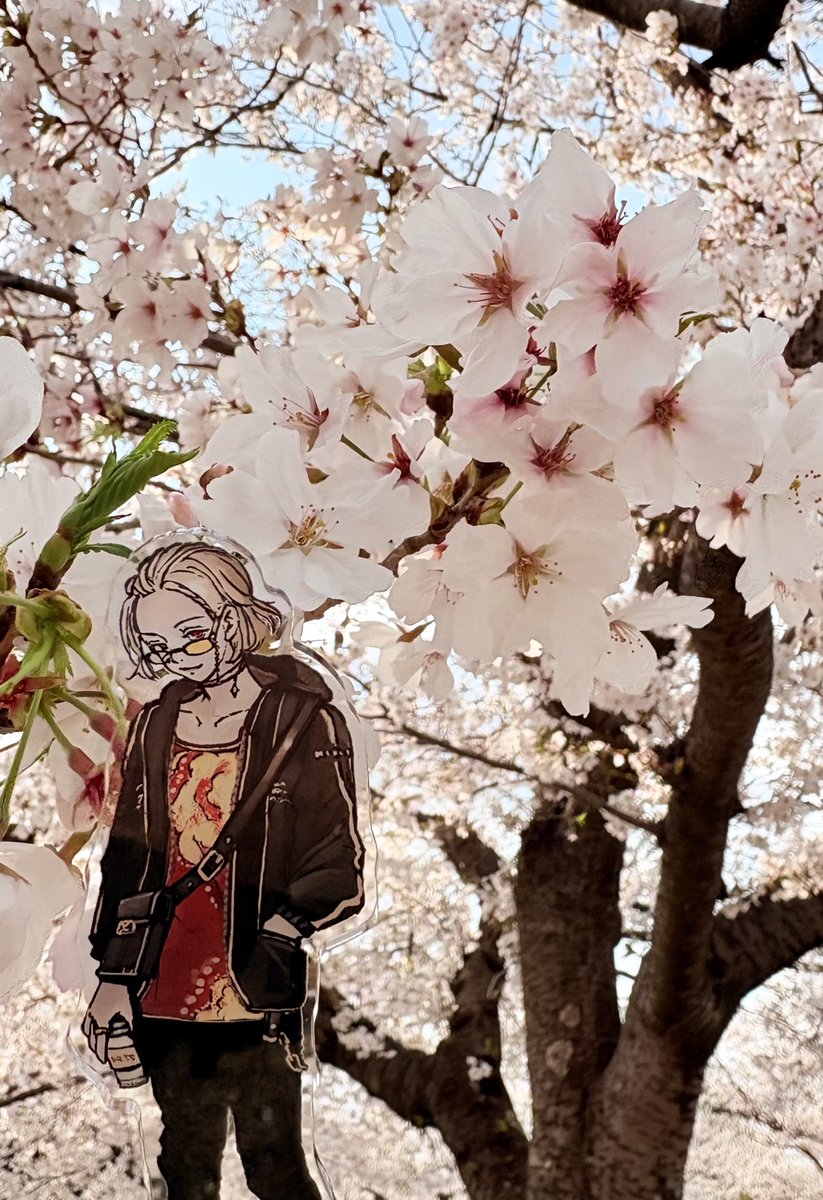 JJ___mai's tweet photo. 桜だよ〜🌸 https://t.co/rTrGiLWizL