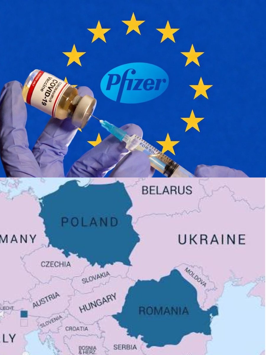 Sabrina F. tweet media