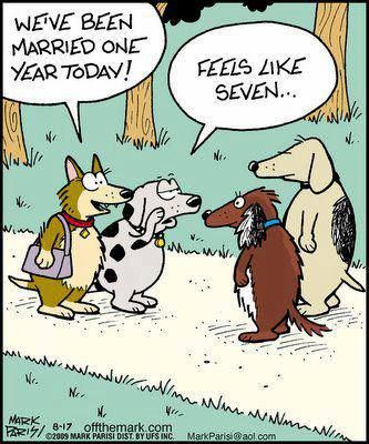 Danny Mac. 🇬🇧🏴󠁧󠁢󠁥󠁮󠁧󠁿 tweet media