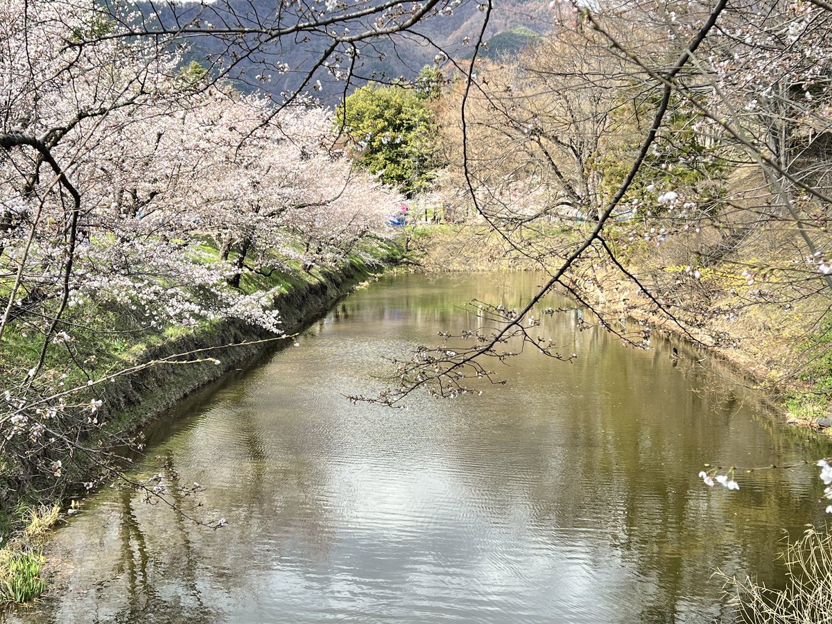 信州上田観光協会【公式】 tweet media
