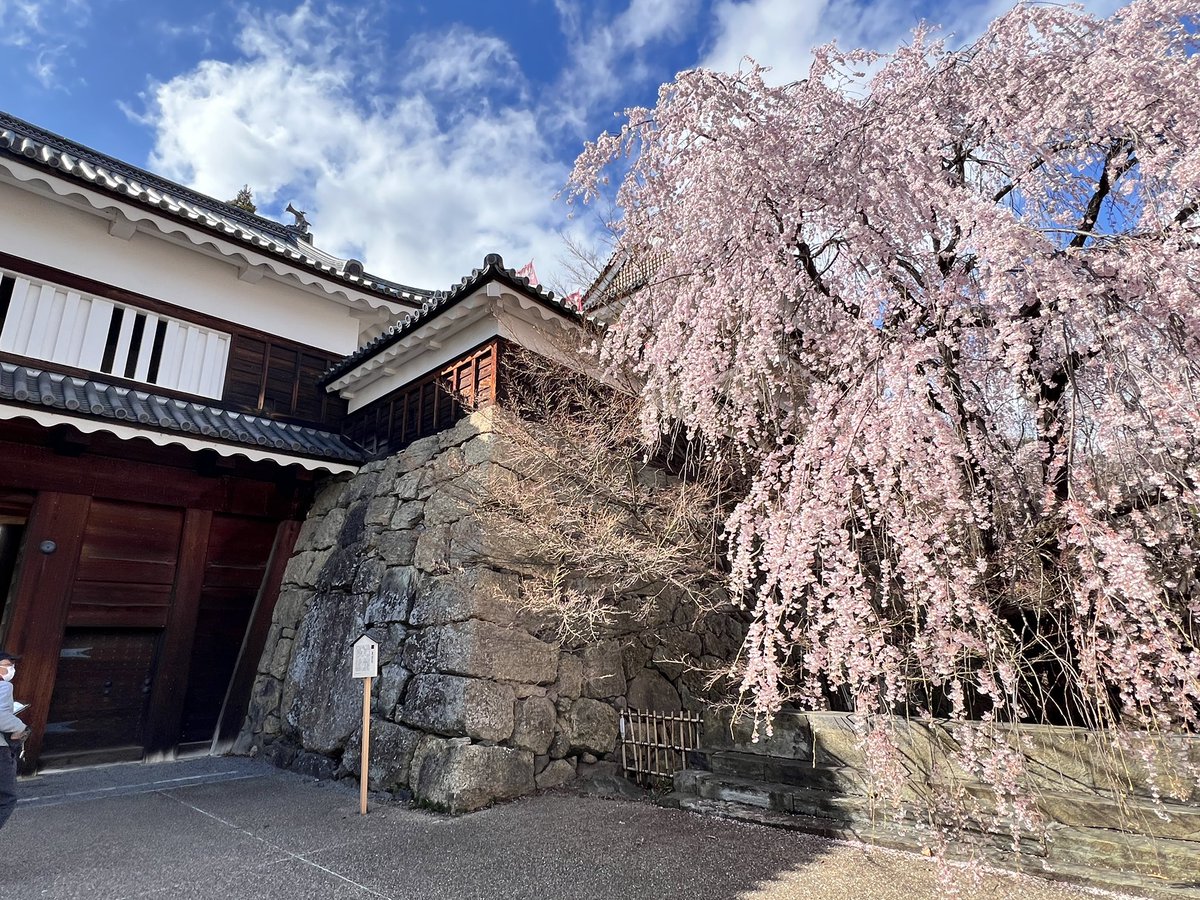 信州上田観光協会【公式】 tweet media