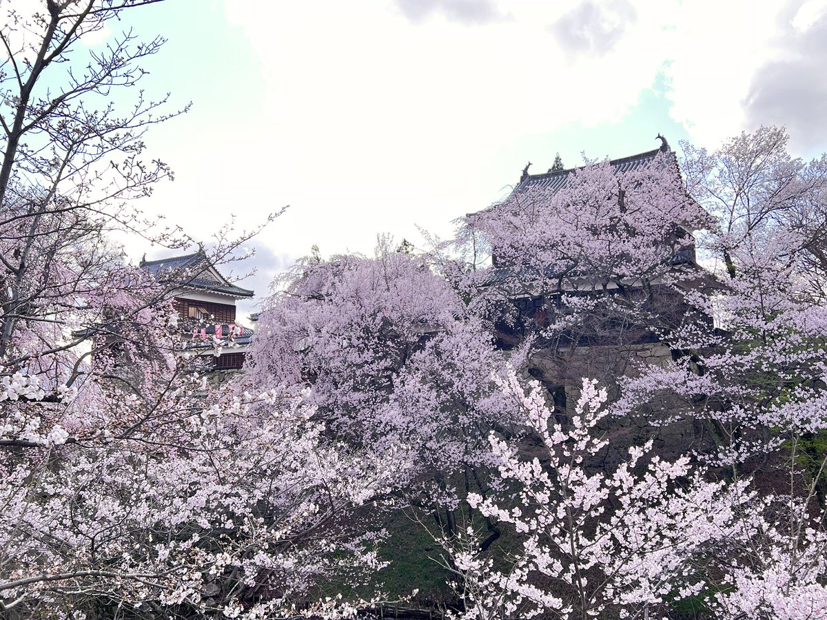 信州上田観光協会【公式】 tweet media