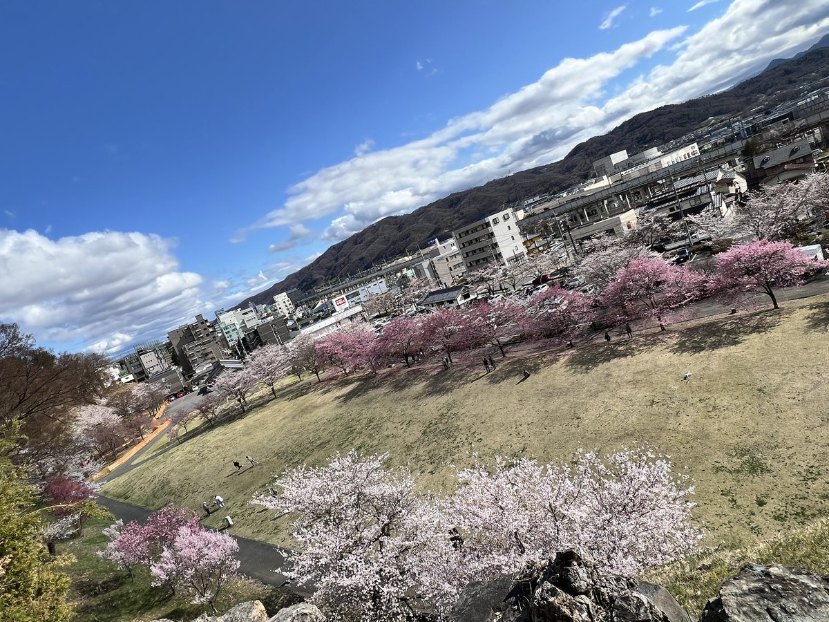 信州上田観光協会【公式】 tweet media